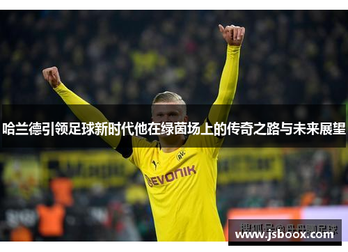 哈兰德引领足球新时代他在绿茵场上的传奇之路与未来展望